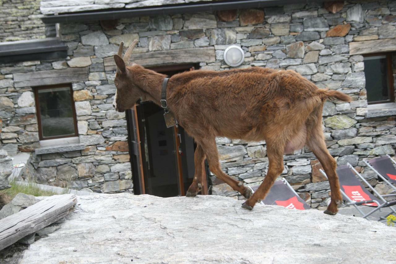 Villa Agri Scinghiöra Brontallo Esterno foto