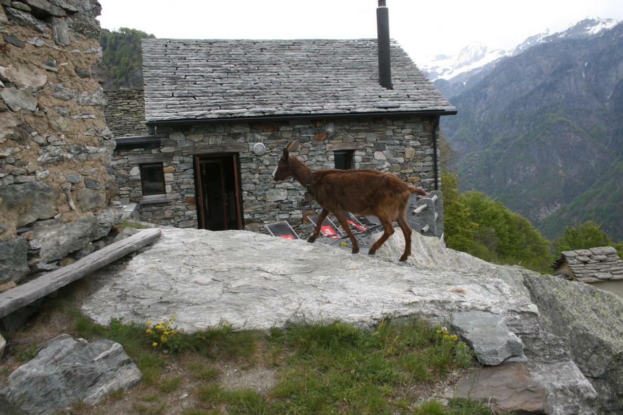 Villa Agri Scinghiöra Brontallo Esterno foto